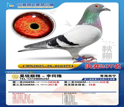 国力秋棚决赛207名