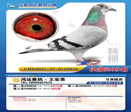 国力秋棚决赛209名