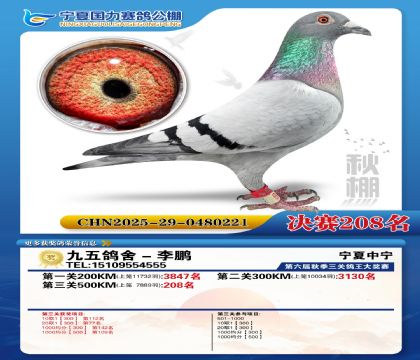 国力秋棚决赛208名