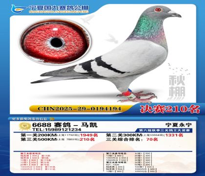 国力秋棚决赛210名