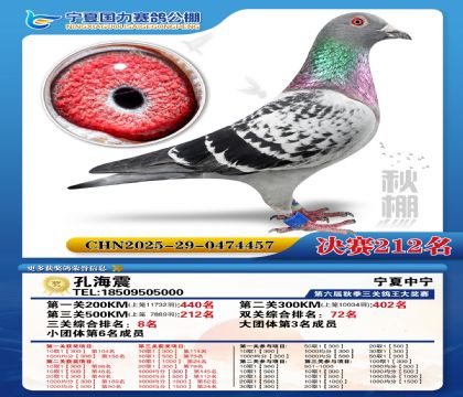 国力秋棚决赛212名