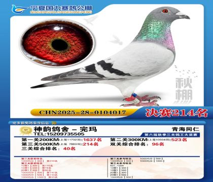 国力秋棚决赛214名