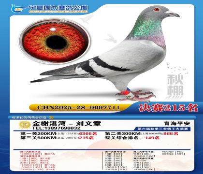 国力秋棚决赛215名