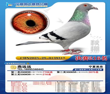 国力秋棚决赛216名