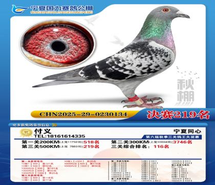 国力秋棚决赛219名