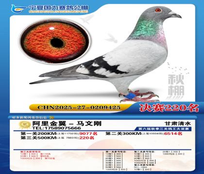 国力秋棚决赛220名