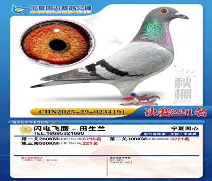 国力秋棚决赛221名