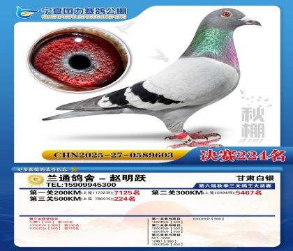 国力秋棚决赛224名