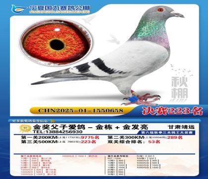 国力秋棚决赛223名