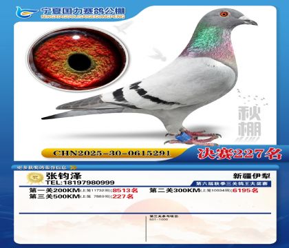 国力秋棚决赛227名