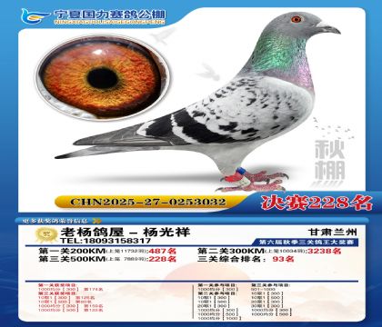 国力秋棚决赛228名