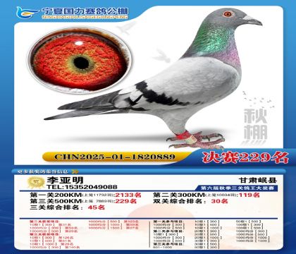 国力秋棚决赛229名