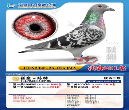 国力秋棚决赛231名