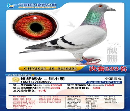 国力秋棚决赛233名