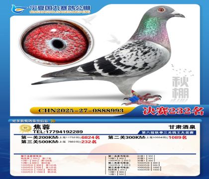 国力秋棚决赛232名