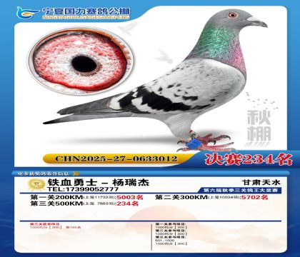 国力秋棚决赛234名