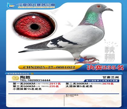 国力秋棚决赛235名