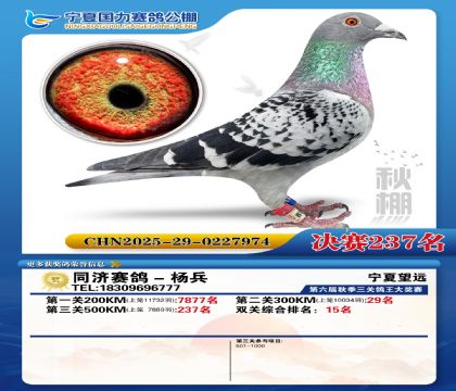 国力秋棚决赛237名