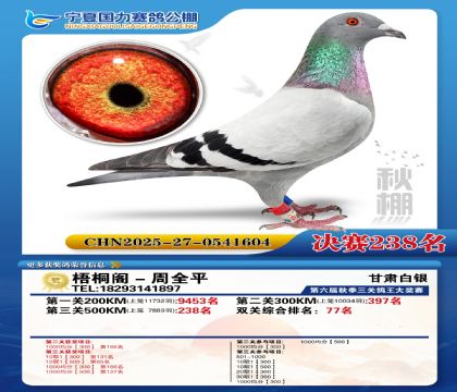 国力秋棚决赛238名