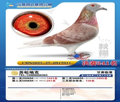 国力秋棚决赛241名