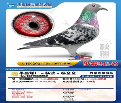 国力秋棚决赛242名