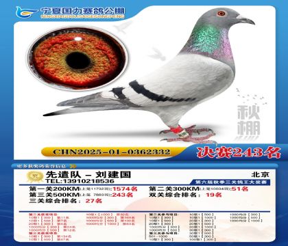 国力秋棚决赛243名