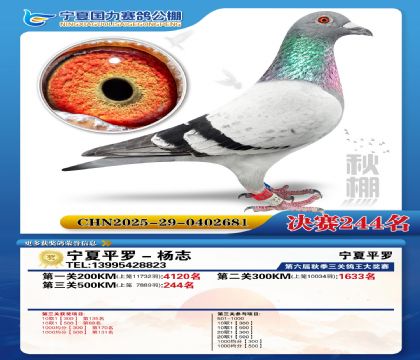 国力秋棚决赛244名