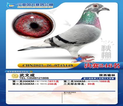 国力秋棚决赛246名