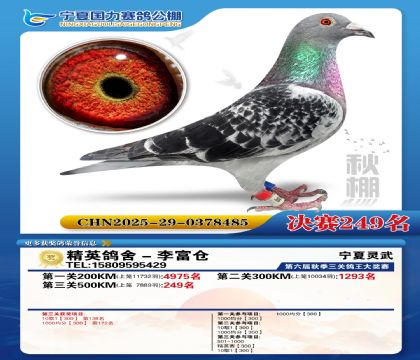 国力秋棚决赛249名