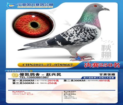 国力秋棚决赛250名