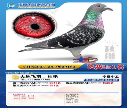 国力秋棚决赛251名