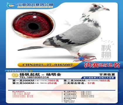 国力秋棚决赛252名