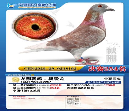 国力秋棚决赛254名