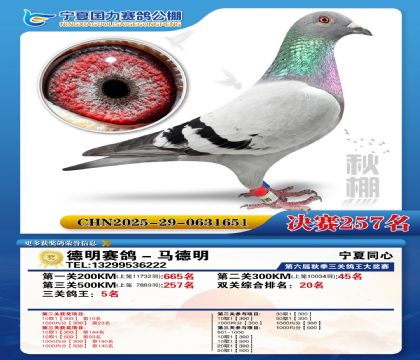 国力秋棚决赛257名