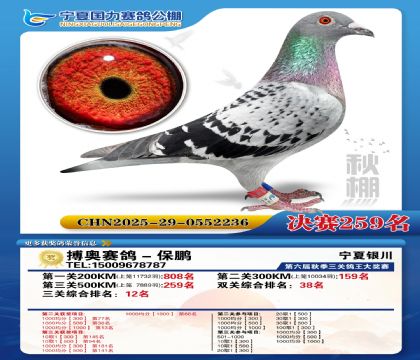 国力秋棚决赛259名