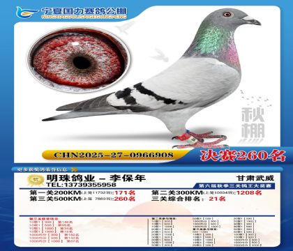 国力秋棚决赛260名