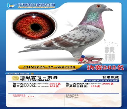 国力秋棚决赛262名