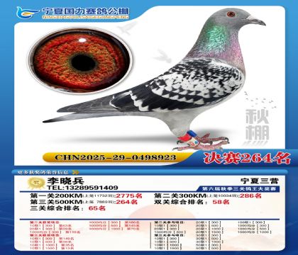 国力秋棚决赛264名