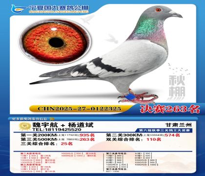 国力秋棚决赛263名