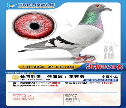 国力秋棚决赛266名