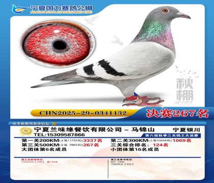 国力秋棚决赛267名