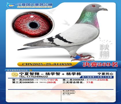 国力秋棚决赛269名