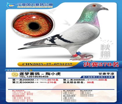 国力秋棚决赛270名