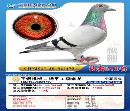 国力秋棚决赛271名