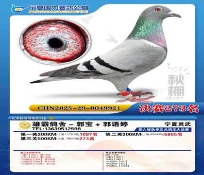 国力秋棚决赛273名