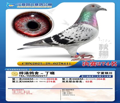 国力秋棚决赛274名