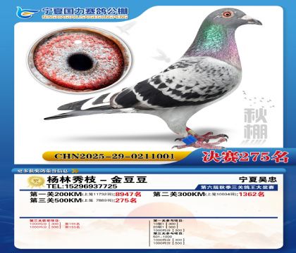 国力秋棚决赛275名