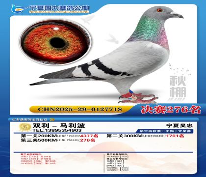 国力秋棚决赛276名