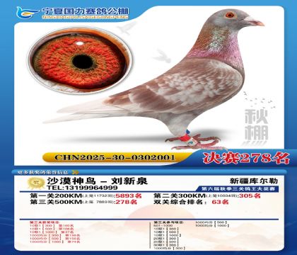 国力秋棚决赛278名