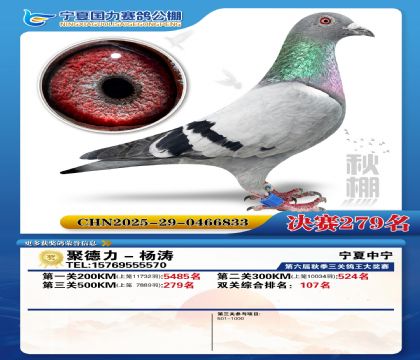 国力秋棚决赛279名